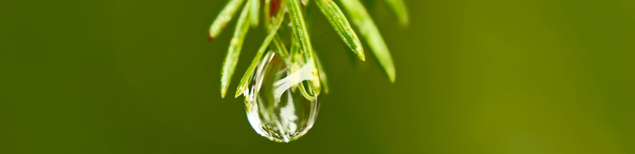 wassertropfen
