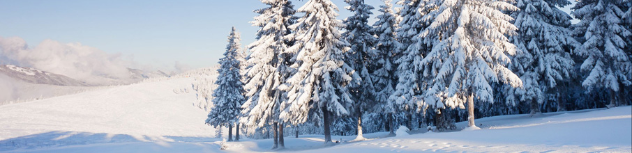 winter
