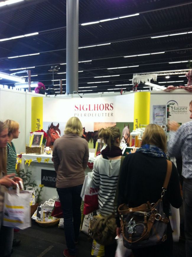 Pappas Amadeus Indoors 2013 Siglhors Pferdefutter